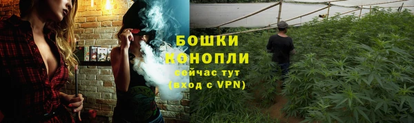 трава Белокуриха