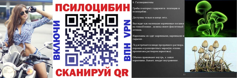 цена   это телеграм  Галлюциногенные грибы GOLDEN TEACHER  Красный Холм 